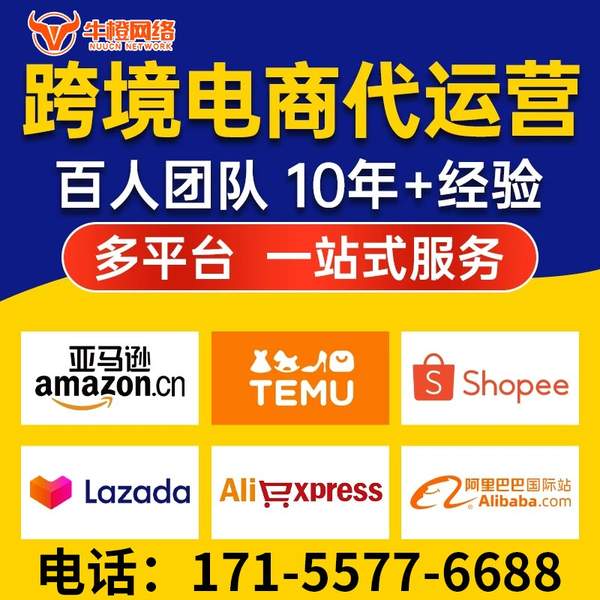 朔州电商代运营