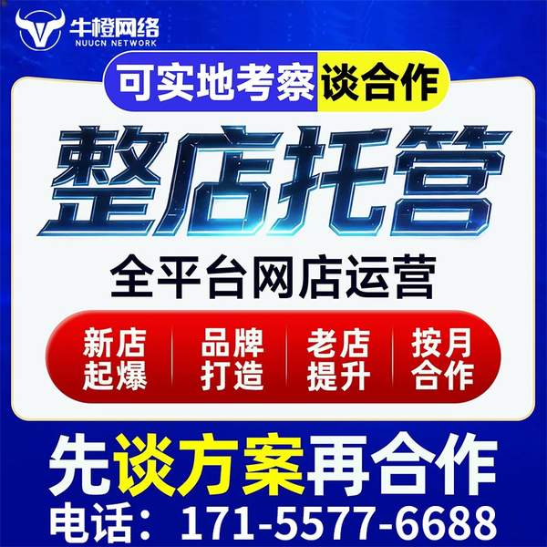 朔州电商代运营