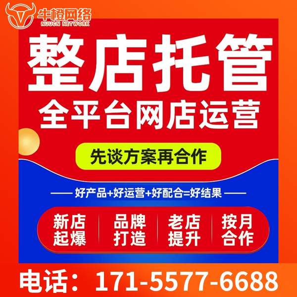 朔州电商代运营