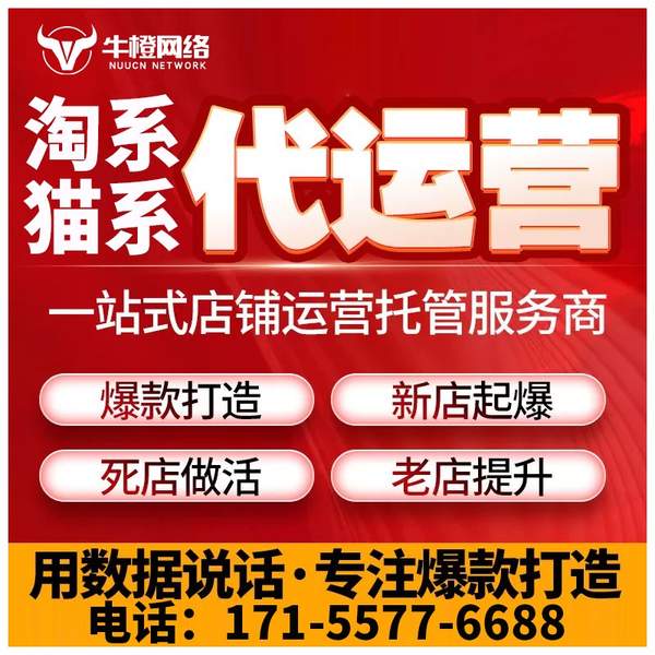 朔州电商代运营